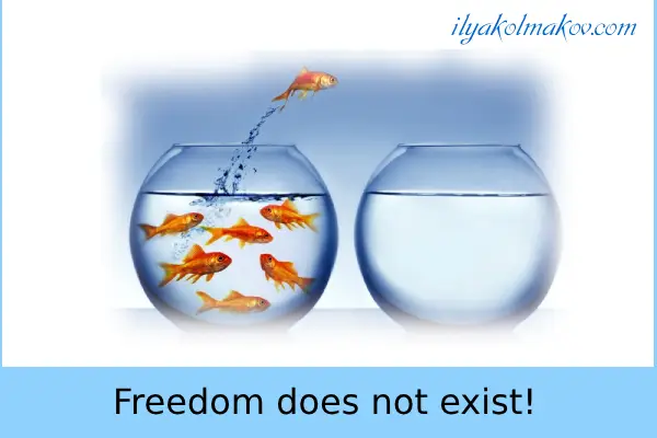 Freedom does not exist