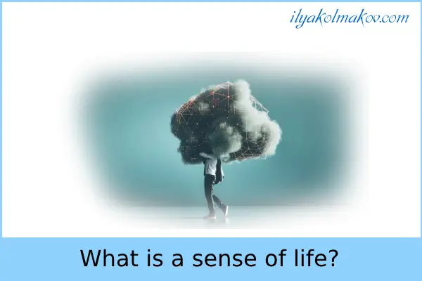 What is a sense of life